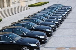 麗水市印發新能源汽車推廣計劃 2016年目標超900輛，廣州汽車租賃行業積極響應