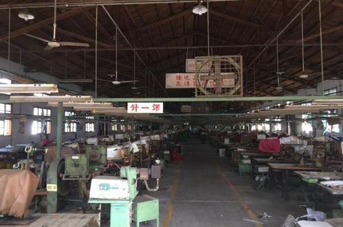 莆田28年老鞋廠轟然倒下，廠房土地遭查封拍賣(mài)